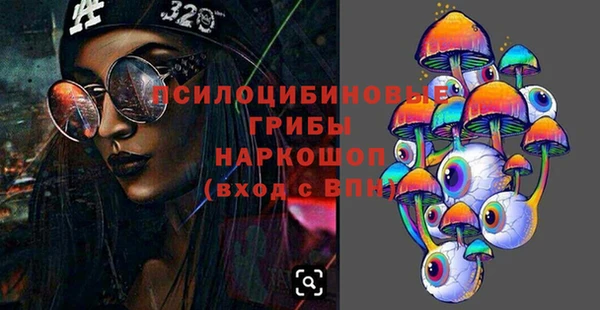 герыч Новозыбков