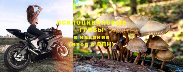герыч Новозыбков