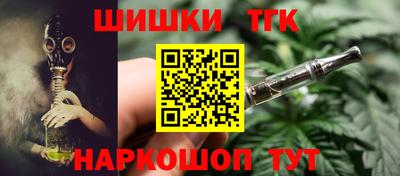 кокс Гатчина