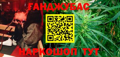 кокс Гатчина