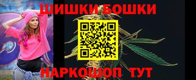 кокс Гатчина