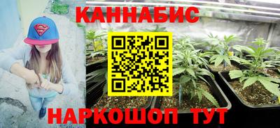 кокс Гатчина