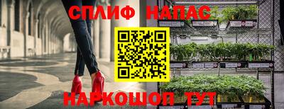 мет Гай