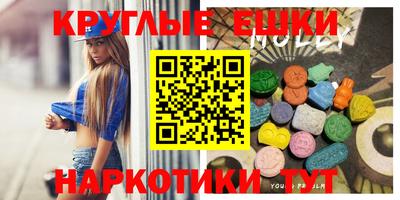 кокс Гатчина
