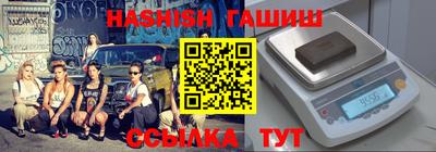 кокс Гатчина
