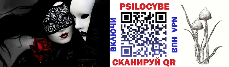 Галлюциногенные грибы мухоморы  наркотики  Алейск 