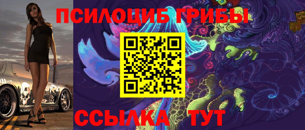 Галлюциногенные грибы прущие грибы  Вход с VPN  Алейск 
