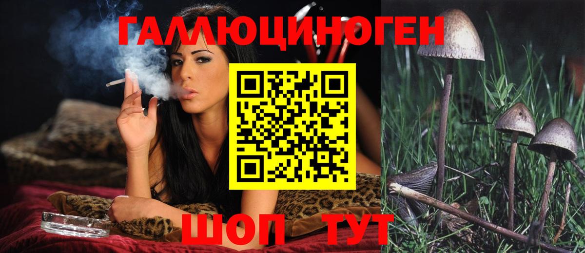 Алейск  Галлюциногенные грибы Cubensis  магазин продажи   Вход с VPN 