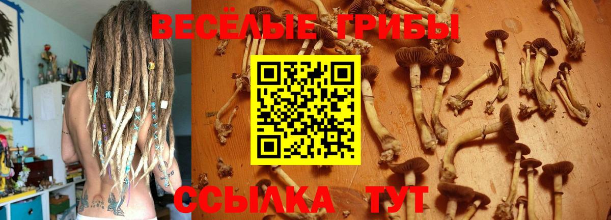 Галлюциногенные грибы GOLDEN TEACHER Алейск