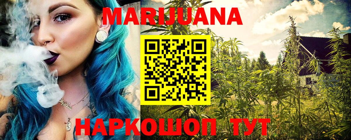 Канабис OG Kush Алейск