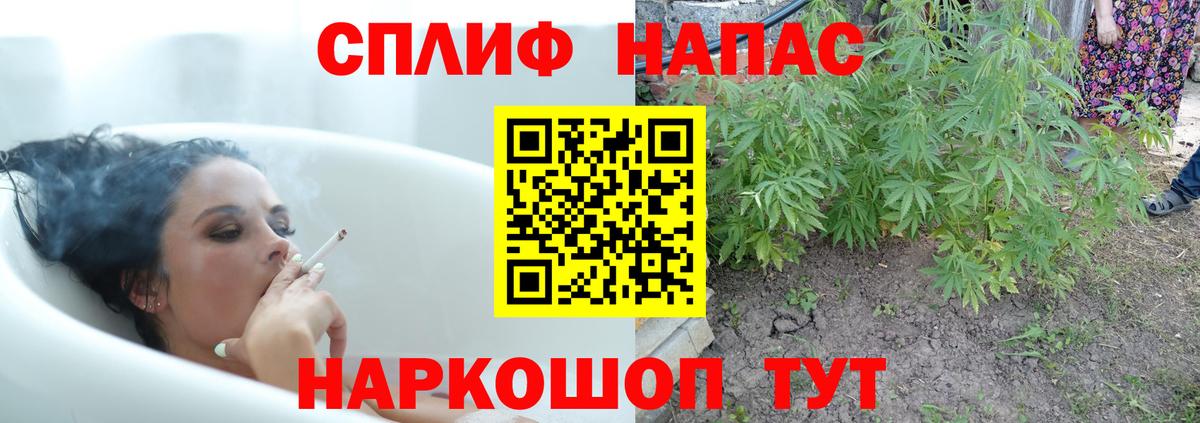  Cocaine Алейск