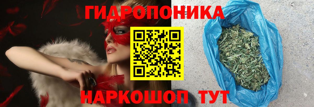 МАРИХУАНА гибрид Алейск