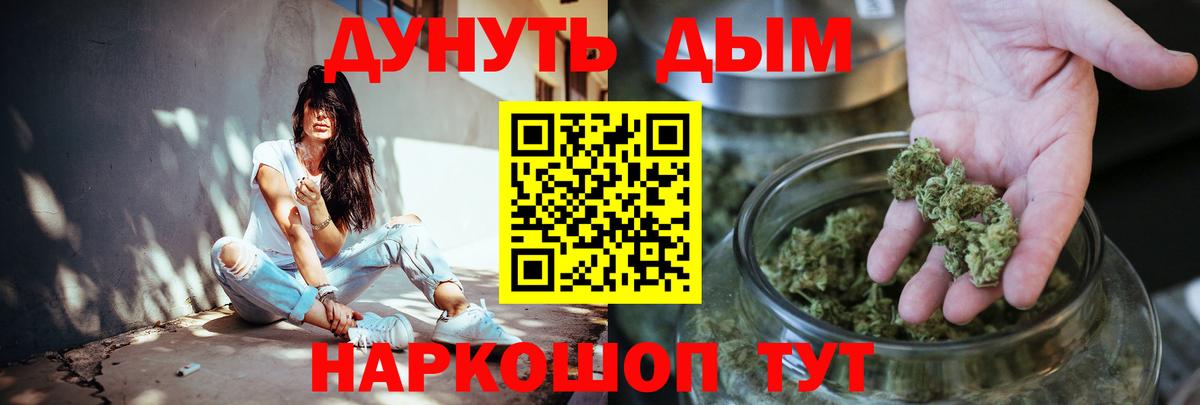 Бошки Шишки Bruce Banner  Канабис семена  Алейск  Канабис планчик 